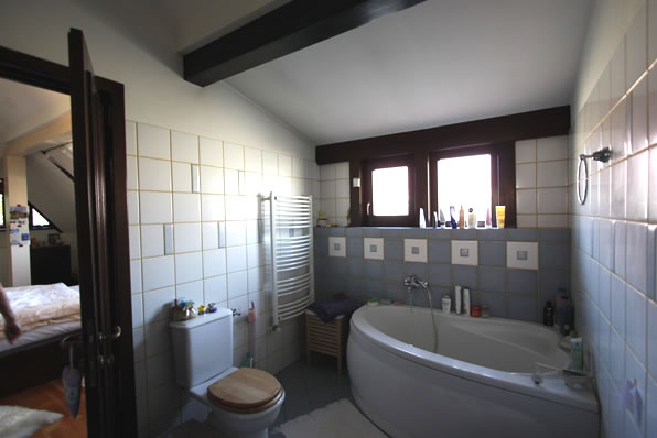 Bathroom attic